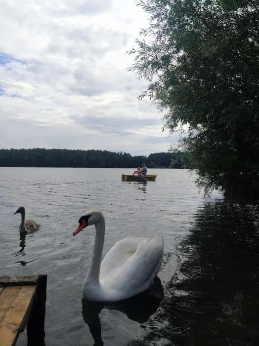 Wrzosowe Wzgorze - Domek Wiejski Klaczno Exterior foto